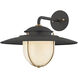 Greentree 1 Light 13 inch Forged Iron and Patina Brass Outdoor Wall Sconce